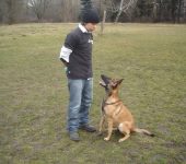 dog training Sofia